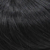 313E H Add-on, 2 clips by WIGPRO: Human Hair Piece